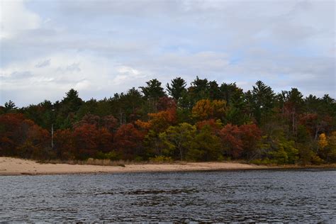 Beach With Fall Foliage And River Green Thumb Advice