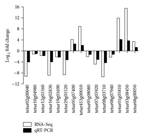 Qrt Pcr Validation Of Some Differentially Expressed Genes In Rna Seq