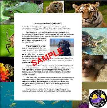 Cephalization in Animals Reading Worksheet **Editable** by Rod's ...