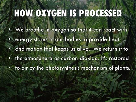 Oxygen By Kelby Roberts