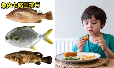 吃魚5大好處 16種魚類熱量排行｜食魚會變聰明！選對魚類避開重金屬