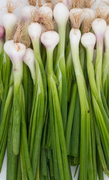 Premium Photo | Green onion