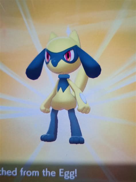 SHINY RIOLU How To Force Spawn Shiny Riolu In Pokémon, 47% OFF