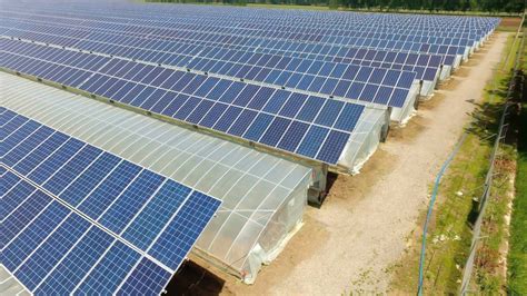 Mw Solar Farm Agricultural System Solar Pv Mounting System Solar