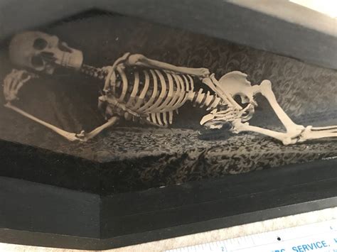 Nude Skeleton In Coffin Collodion Tintype Etsy