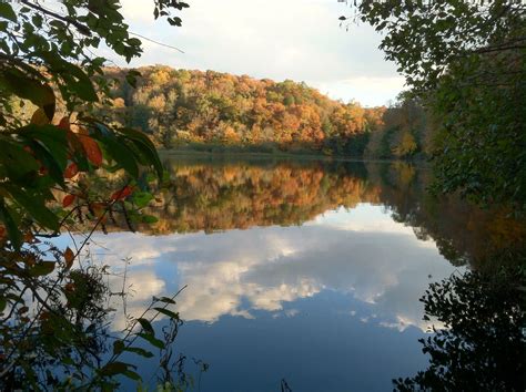 Brushy Lake, Bankhead National Forest, AL | Alabama outdoors, Baxter ...