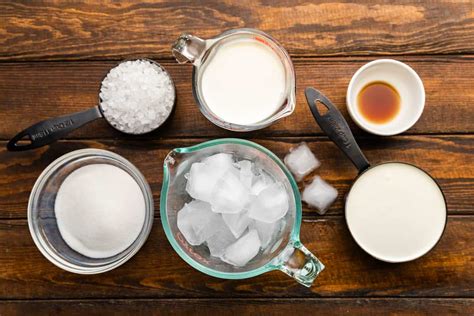 Homemade Ice Cream In 5 Minutes Havenlymarket