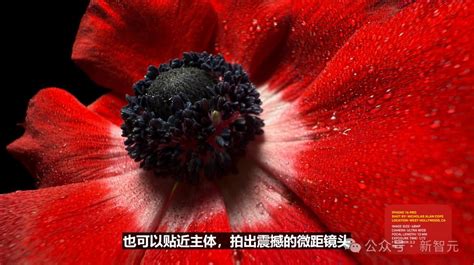 苹果史上第一台AI手机诞生iPhone 16屠版热搜中文版明年登场3nm芯片封神 澎湃号湃客 澎湃新闻 The Paper