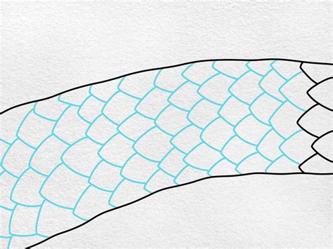 draw scales  dragon