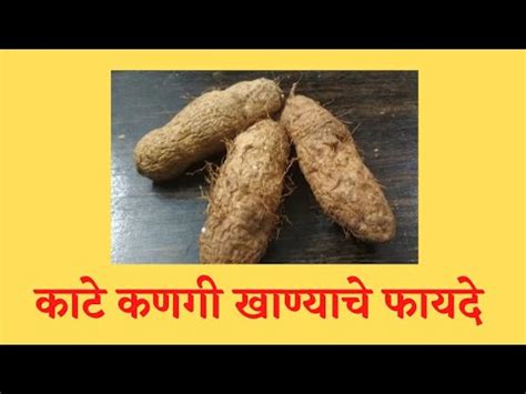 Health Benefits Of Konkani Tuber Root "Kante Kanagi"(Dioscorea Esculenta) - YouTube