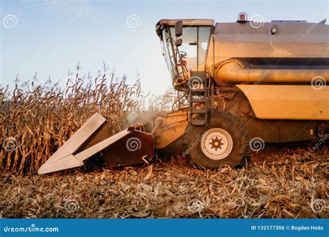 Farmer Using Combine Harvester Working The Fields And Harvesting Corn