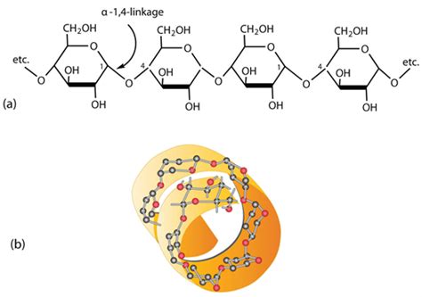 The Power of Polysaccharides