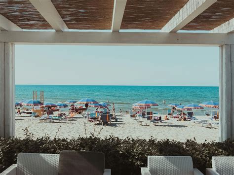 90,000+ Best Beach Bar Photos · 100% Free Download · Pexels Stock Photos