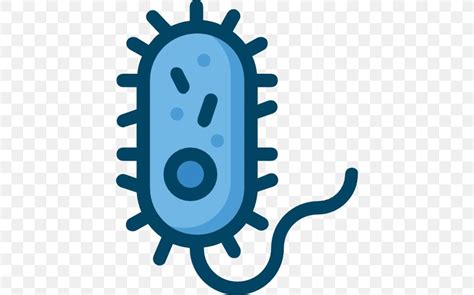 Bacteria Microorganism Clip Art, PNG, 512x512px, Bacteria, Microbiology ...