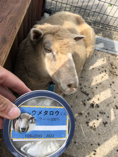 東武動物公園【公式】リュウくん Tobuzoo7 Twitter