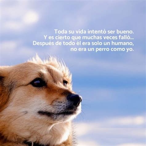 Mejores Frases Sobre Perros Y Su Fidelidad