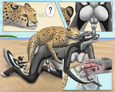 Furry Cheetah Photos Porn