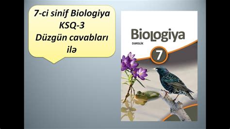 Ci Sinif Biologiya Ksq D Zg N Cavablar Il Youtube