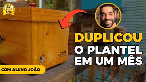 DO ZERO a MULTIPLICAÇÃO de DEZENAS DE COLÔNIAS em UM MÊS Descubra a