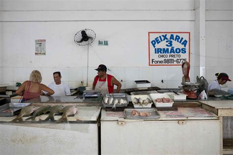 Como As Hidrel Tricas Est O Acabando Os Peixes No Rio Madeira