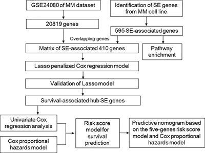 Frontiers Super Enhancer Associated Five Gene Risk Score Model