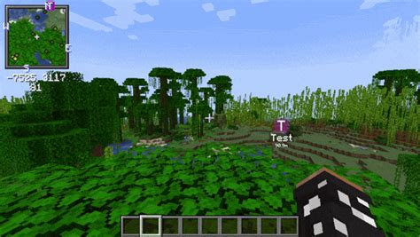 Xaero S Minimap Mod F R Minecraft Apex Hosting