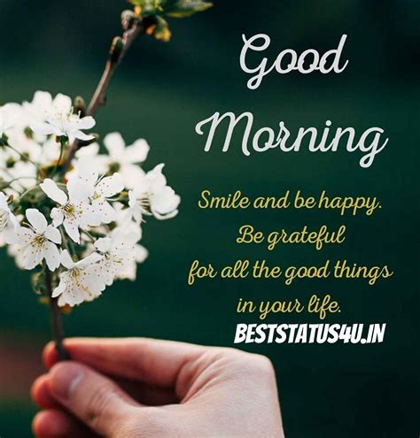 Best {500+} Good Morning Whatsapp Status (Hindi, English) Best Quotes