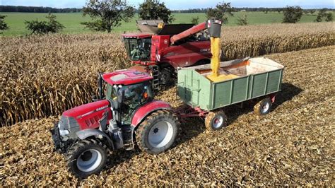 K Rnermais Ernte Mit Case Ih Und Olimac Drago Maispfl Cker