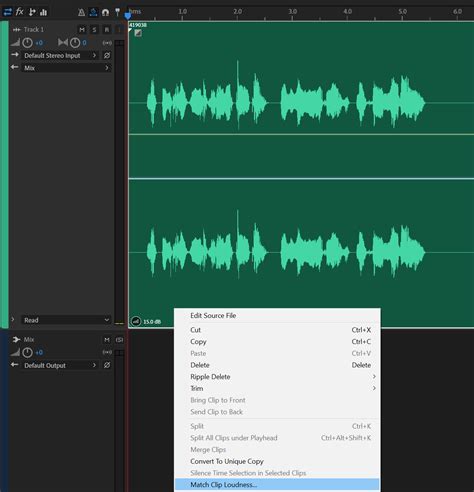 How To Make Your Voice Sound Better In Adobe Audition Multitrack