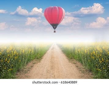 Balloons Over Road Royalty Free Images Stock Photos Pictures