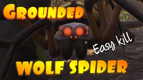 GROUNDED WOLF SPIDER Easy Kill With Sprig Bow YouTube