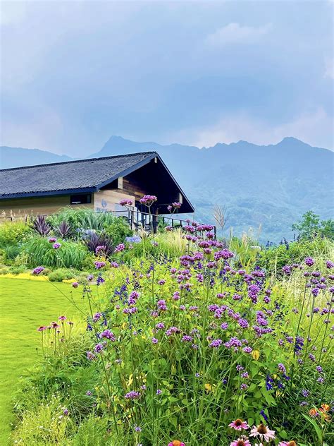 峨眉山脚下轻奢度假之旅 旅行的阿曼 峨眉山旅游攻略 游记 去哪儿攻略