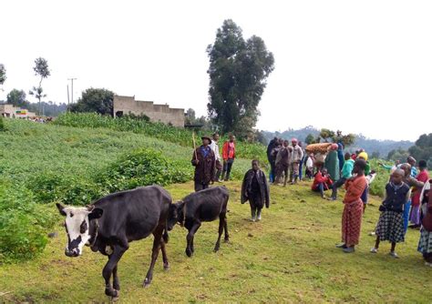 Nyuma y’uko imirwano ihuje abarwayi ba M23 n’ingabo za Congo (FARDC) ifashe indi ntera ...