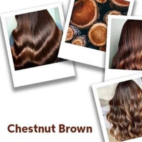 Chestnut Brown Hair Color The Secret To A Stunning Makeover Click Here To Discover More