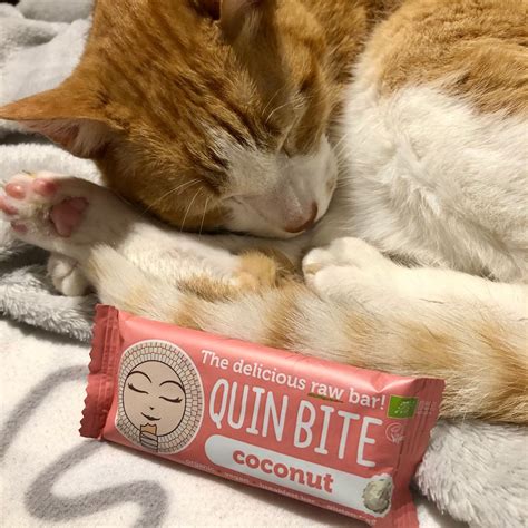 Quin Bite Coconut Bar Reviews Abillion