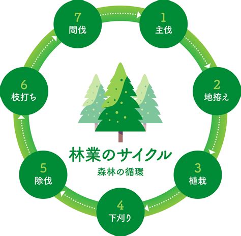 林業の仕事とは 就業希望の方へ 東京の森林ではたらく未来をつなぐ林業就業NAVI