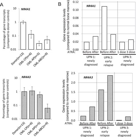 Association between NR4A3 expression and cell differentiation in ... 