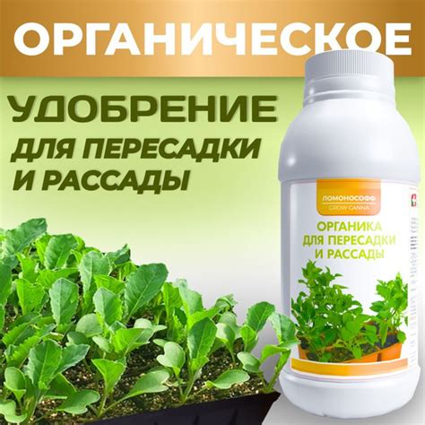 Удобрение для рассады и пересадки растений органическое 150 мл ...