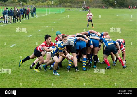 University Sport Men S Rugby Union At Warwick University Uk Stock