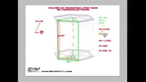 How To Calculate Volume Of A Hexagon Aquarium Tips And Tricks