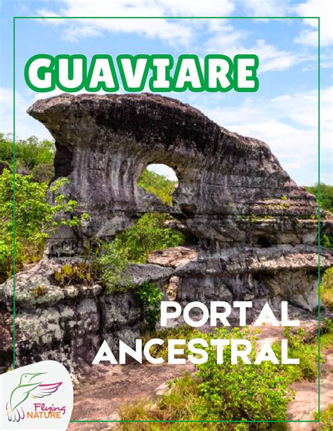 Guaviare El Portal Ancestral Flying Nature Colombia