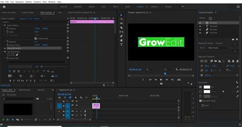 How To Animate Text In Premiere Pro How Does It Work