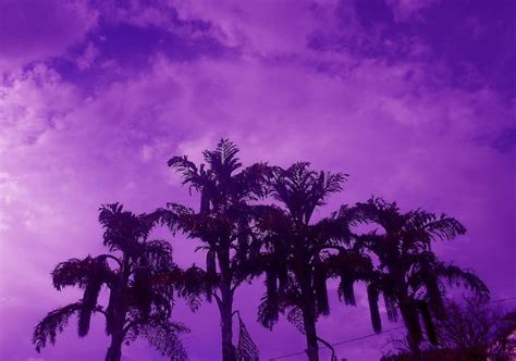 Why Does The Sky Sometimes Turn Purple