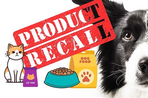 New Pet Food Recall for Michigan Dog and Cat Owners