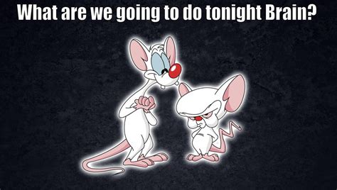 Pinky And The Brain Quotes What Are We Going To Do Tonight