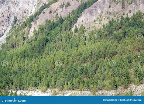 Fairy Meadows Nanga Parbat Beautiful Landscape Mountains View Stock ...