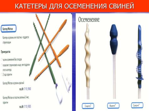 Физиология и техника искусственного осеменения животных - online ...