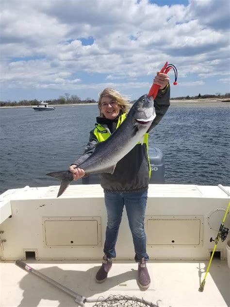 Nj Fishing Bluefish Crash Manasquan River Fluke Season Starts May 2