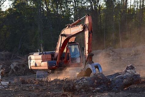 Expos Sur La D Forestation Causes Cons Quences D Finition Et Solutions