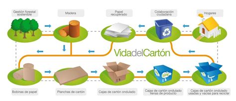 17 de Mayo Día Mundial del Reciclaje Vegabaja Packaging